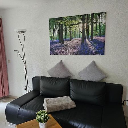 Residenz Schauinsland Todtnauberg - Fewo 17 - Sauna - Spielzimmer Fuer Kinder - Naehe Feldberg Kültér fotó