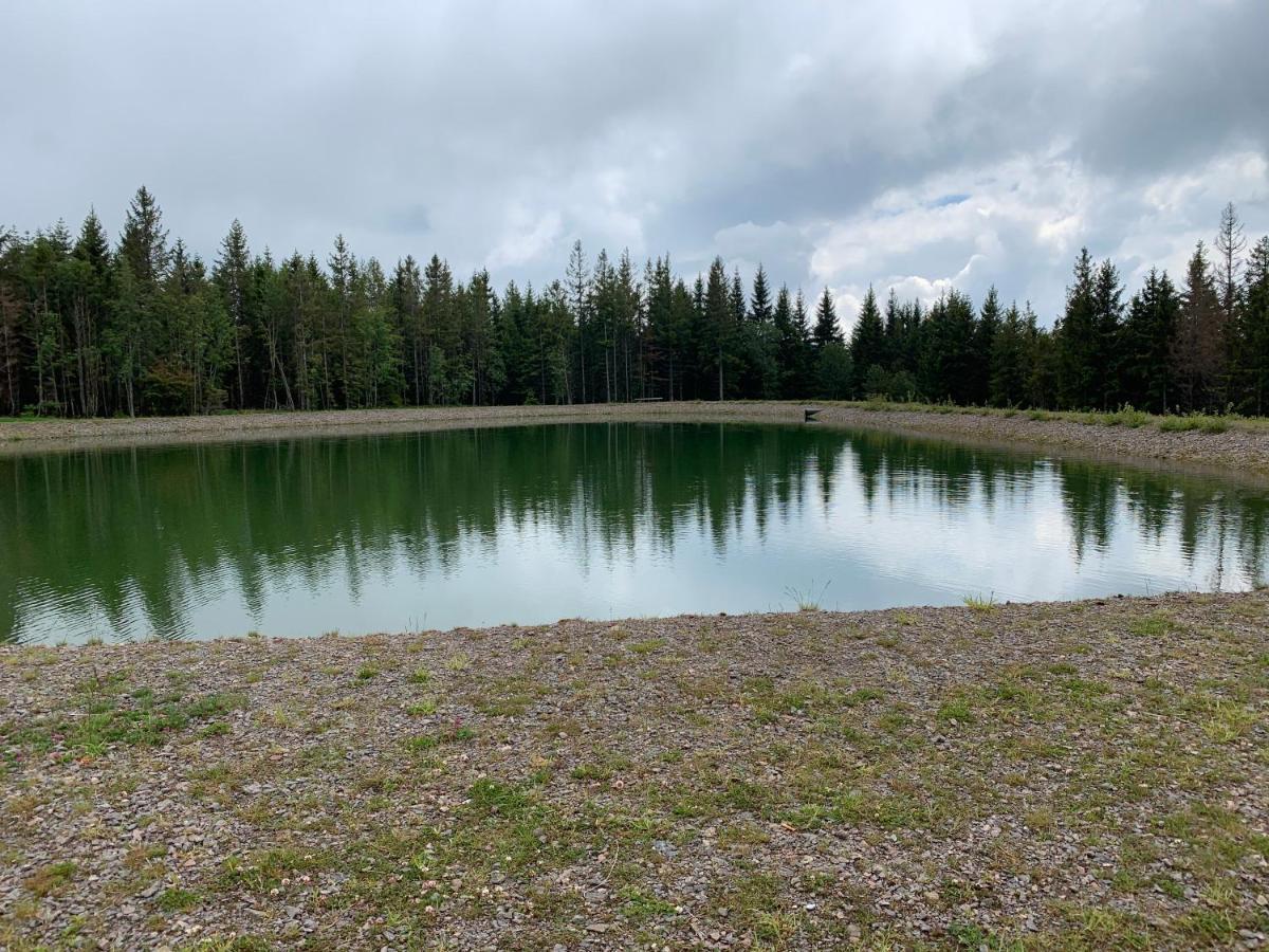Residenz Schauinsland Todtnauberg - Fewo 17 - Sauna - Spielzimmer Fuer Kinder - Naehe Feldberg Kültér fotó