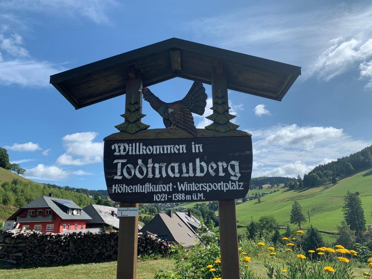Residenz Schauinsland Todtnauberg - Fewo 17 - Sauna - Spielzimmer Fuer Kinder - Naehe Feldberg Kültér fotó