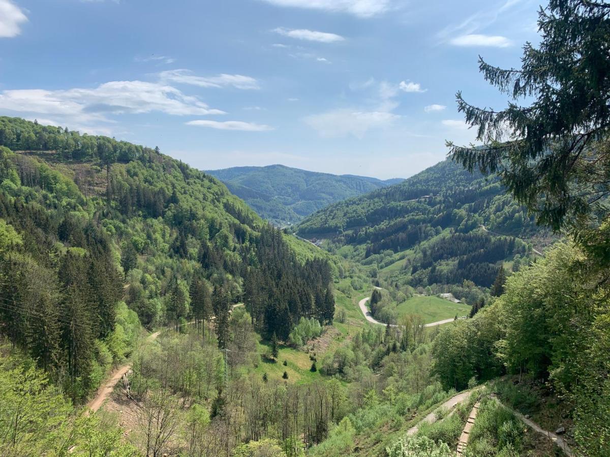 Residenz Schauinsland Todtnauberg - Fewo 17 - Sauna - Spielzimmer Fuer Kinder - Naehe Feldberg Kültér fotó
