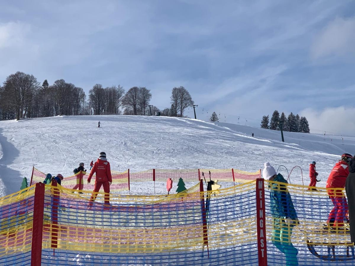 Residenz Schauinsland Todtnauberg - Fewo 17 - Sauna - Spielzimmer Fuer Kinder - Naehe Feldberg Kültér fotó