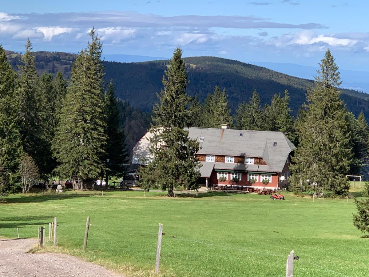 Residenz Schauinsland Todtnauberg - Fewo 17 - Sauna - Spielzimmer Fuer Kinder - Naehe Feldberg Kültér fotó
