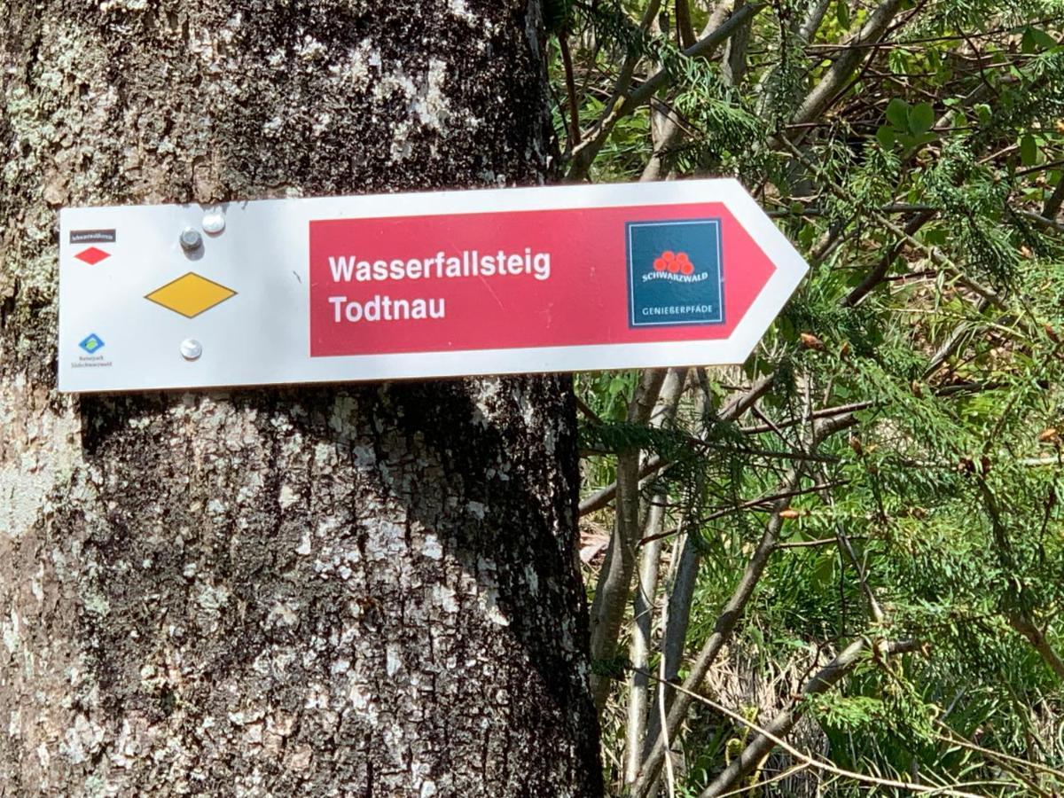 Residenz Schauinsland Todtnauberg - Fewo 17 - Sauna - Spielzimmer Fuer Kinder - Naehe Feldberg Kültér fotó