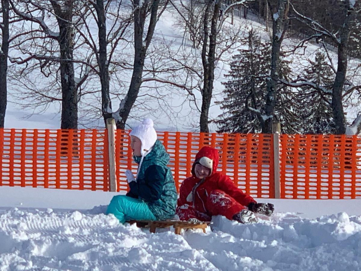 Residenz Schauinsland Todtnauberg - Fewo 17 - Sauna - Spielzimmer Fuer Kinder - Naehe Feldberg Kültér fotó