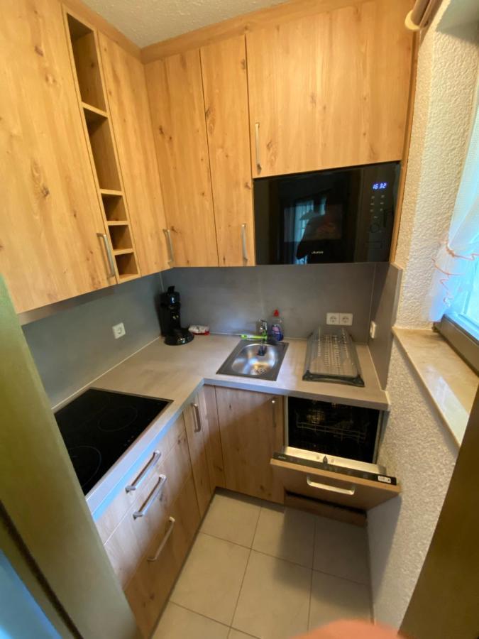 Residenz Schauinsland Todtnauberg - Fewo 17 - Sauna - Spielzimmer Fuer Kinder - Naehe Feldberg Kültér fotó